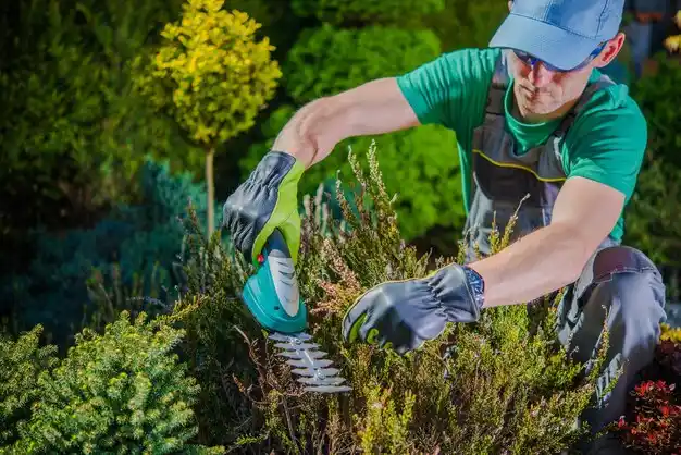 landscaping services Brightwaters